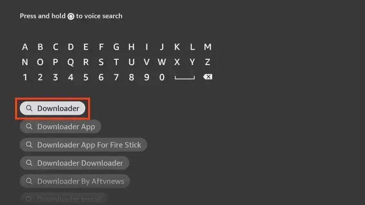 Setup Kodi on a Firestick image 2024 06 22 152432322.png
