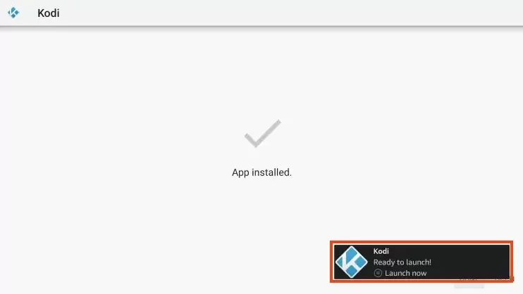 Setup Kodi on a Firestick image 2024 06 22 153211814.png